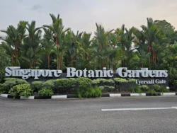 Singapore Botanic Gardens Svg+xml,%3Csvg%20xmlns%3D%22http%3A%2F%2Fwww.w3