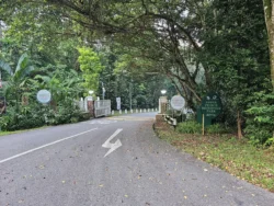 Upper Peirce Reservoir Svg+xml,%3Csvg%20xmlns%3D%22http%3A%2F%2Fwww.w3