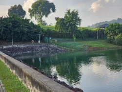 Upper Peirce Reservoir Svg+xml,%3Csvg%20xmlns%3D%22http%3A%2F%2Fwww.w3