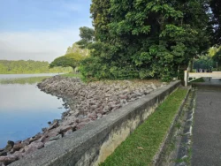 Upper Peirce Reservoir Svg+xml,%3Csvg%20xmlns%3D%22http%3A%2F%2Fwww.w3