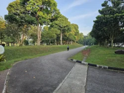 Upper Peirce Reservoir Svg+xml,%3Csvg%20xmlns%3D%22http%3A%2F%2Fwww.w3