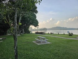 Upper Peirce Reservoir Svg+xml,%3Csvg%20xmlns%3D%22http%3A%2F%2Fwww.w3