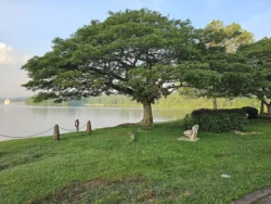 Upper Peirce Reservoir Svg+xml,%3Csvg%20xmlns%3D%22http%3A%2F%2Fwww.w3