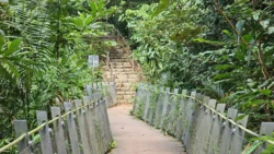 Rifle Range Nature Park Svg+xml,%3Csvg%20xmlns%3D%22http%3A%2F%2Fwww.w3