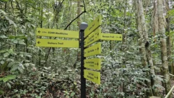 Rifle Range Nature Park Svg+xml,%3Csvg%20xmlns%3D%22http%3A%2F%2Fwww.w3