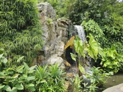 Singapore Botanic Gardens Svg+xml,%3Csvg%20xmlns%3D%22http%3A%2F%2Fwww.w3