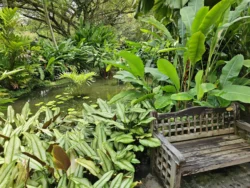 Singapore Botanic Gardens Svg+xml,%3Csvg%20xmlns%3D%22http%3A%2F%2Fwww.w3