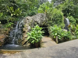 Singapore Botanic Gardens Svg+xml,%3Csvg%20xmlns%3D%22http%3A%2F%2Fwww.w3