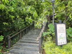 Singapore Botanic Gardens Svg+xml,%3Csvg%20xmlns%3D%22http%3A%2F%2Fwww.w3