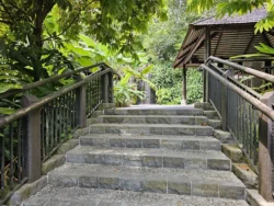 Singapore Botanic Gardens Svg+xml,%3Csvg%20xmlns%3D%22http%3A%2F%2Fwww.w3