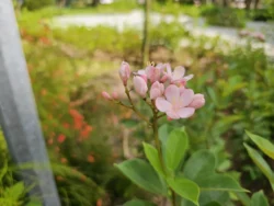 Bedok Reservoir Park Svg+xml,%3Csvg%20xmlns%3D%22http%3A%2F%2Fwww.w3