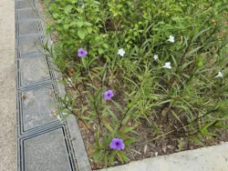 Bedok Reservoir Park Svg+xml,%3Csvg%20xmlns%3D%22http%3A%2F%2Fwww.w3