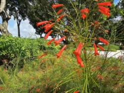 Bedok Reservoir Park Svg+xml,%3Csvg%20xmlns%3D%22http%3A%2F%2Fwww.w3