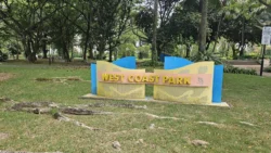 West Coast Park Svg+xml,%3Csvg%20xmlns%3D%22http%3A%2F%2Fwww.w3