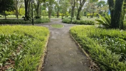 West Coast Park Svg+xml,%3Csvg%20xmlns%3D%22http%3A%2F%2Fwww.w3