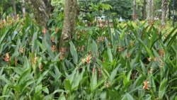 West Coast Park Svg+xml,%3Csvg%20xmlns%3D%22http%3A%2F%2Fwww.w3