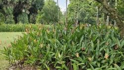 West Coast Park Svg+xml,%3Csvg%20xmlns%3D%22http%3A%2F%2Fwww.w3