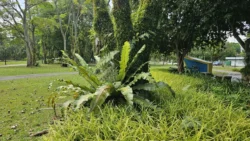 West Coast Park Svg+xml,%3Csvg%20xmlns%3D%22http%3A%2F%2Fwww.w3