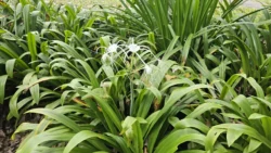 West Coast Park Svg+xml,%3Csvg%20xmlns%3D%22http%3A%2F%2Fwww.w3