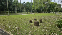 West Coast Park Svg+xml,%3Csvg%20xmlns%3D%22http%3A%2F%2Fwww.w3