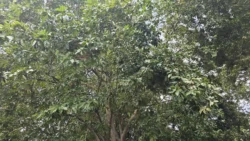 West Coast Park Svg+xml,%3Csvg%20xmlns%3D%22http%3A%2F%2Fwww.w3