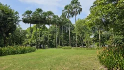 West Coast Park Svg+xml,%3Csvg%20xmlns%3D%22http%3A%2F%2Fwww.w3