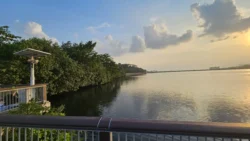 Woodlands Waterfront Park Svg+xml,%3Csvg%20xmlns%3D%22http%3A%2F%2Fwww.w3