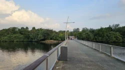 Woodlands Waterfront Park Svg+xml,%3Csvg%20xmlns%3D%22http%3A%2F%2Fwww.w3