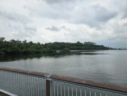 Woodlands Waterfront Park Svg+xml,%3Csvg%20xmlns%3D%22http%3A%2F%2Fwww.w3