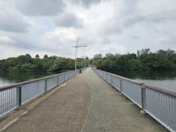 Woodlands Waterfront Park Svg+xml,%3Csvg%20xmlns%3D%22http%3A%2F%2Fwww.w3