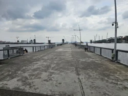 Woodlands Waterfront Park Svg+xml,%3Csvg%20xmlns%3D%22http%3A%2F%2Fwww.w3