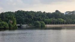 Woodlands Waterfront Park Svg+xml,%3Csvg%20xmlns%3D%22http%3A%2F%2Fwww.w3