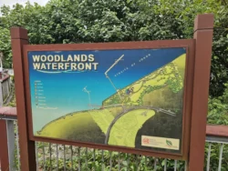 Woodlands Waterfront Park Svg+xml,%3Csvg%20xmlns%3D%22http%3A%2F%2Fwww.w3