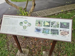 Woodlands Waterfront Park Svg+xml,%3Csvg%20xmlns%3D%22http%3A%2F%2Fwww.w3