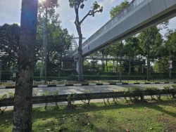 Yishun Pond Park Svg+xml,%3Csvg%20xmlns%3D%22http%3A%2F%2Fwww.w3