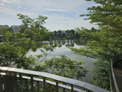 Yishun Pond Park Svg+xml,%3Csvg%20xmlns%3D%22http%3A%2F%2Fwww.w3