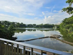 Yishun Pond Park Svg+xml,%3Csvg%20xmlns%3D%22http%3A%2F%2Fwww.w3