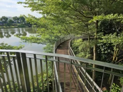 Yishun Pond Park Svg+xml,%3Csvg%20xmlns%3D%22http%3A%2F%2Fwww.w3