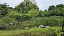 Yunnan Garden (NTU) Svg+xml,%3Csvg%20xmlns%3D%22http%3A%2F%2Fwww.w3