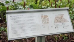 Yunnan Garden (NTU) Svg+xml,%3Csvg%20xmlns%3D%22http%3A%2F%2Fwww.w3