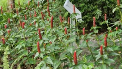 Yunnan Garden (NTU) Svg+xml,%3Csvg%20xmlns%3D%22http%3A%2F%2Fwww.w3