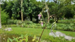 Yunnan Garden (NTU) Svg+xml,%3Csvg%20xmlns%3D%22http%3A%2F%2Fwww.w3