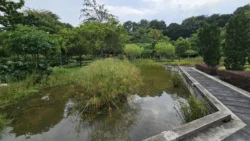 Yunnan Garden (NTU) Svg+xml,%3Csvg%20xmlns%3D%22http%3A%2F%2Fwww.w3