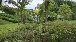 Yunnan Garden (NTU) Svg+xml,%3Csvg%20xmlns%3D%22http%3A%2F%2Fwww.w3