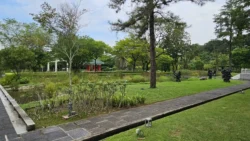 Yunnan Garden (NTU) Svg+xml,%3Csvg%20xmlns%3D%22http%3A%2F%2Fwww.w3