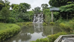 Yunnan Garden (NTU) Svg+xml,%3Csvg%20xmlns%3D%22http%3A%2F%2Fwww.w3