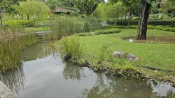 Yunnan Garden (NTU) Svg+xml,%3Csvg%20xmlns%3D%22http%3A%2F%2Fwww.w3