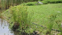 Yunnan Garden (NTU) Svg+xml,%3Csvg%20xmlns%3D%22http%3A%2F%2Fwww.w3