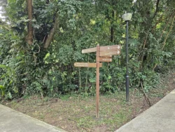 Henderson Waves Svg+xml,%3Csvg%20xmlns%3D%22http%3A%2F%2Fwww.w3