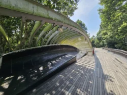 Henderson Waves Svg+xml,%3Csvg%20xmlns%3D%22http%3A%2F%2Fwww.w3